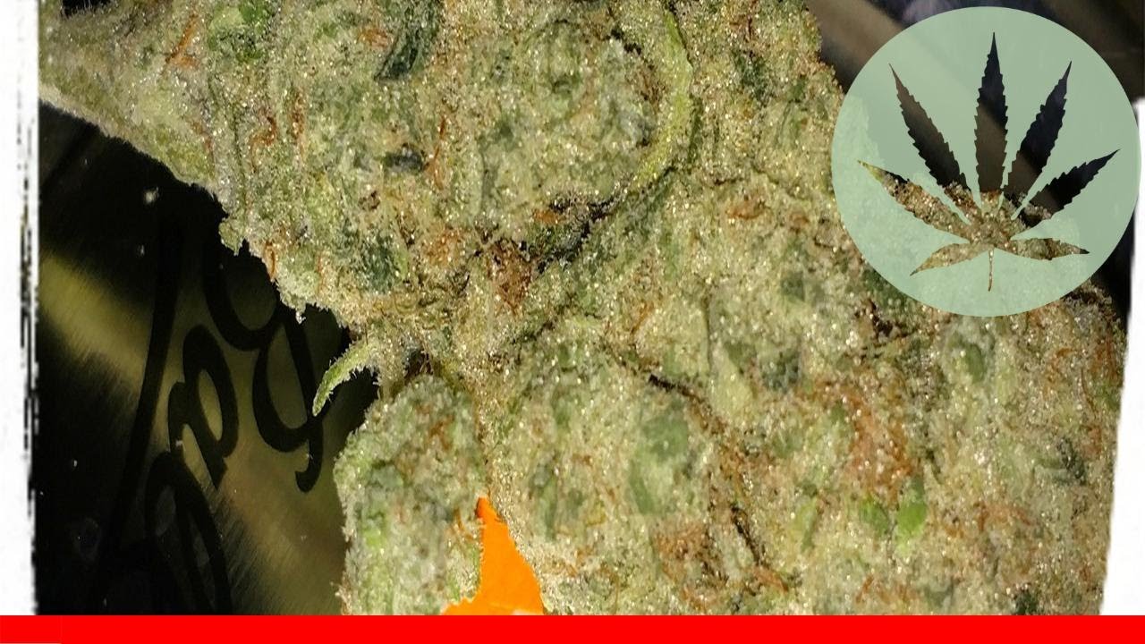Lucky Charms - All About This Strain