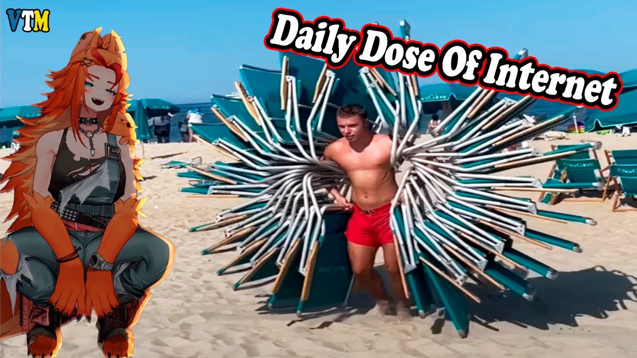 BuffPup Vtuber Reacts To Memes | Daily Dose Of Internet | Try Not To Laugh
