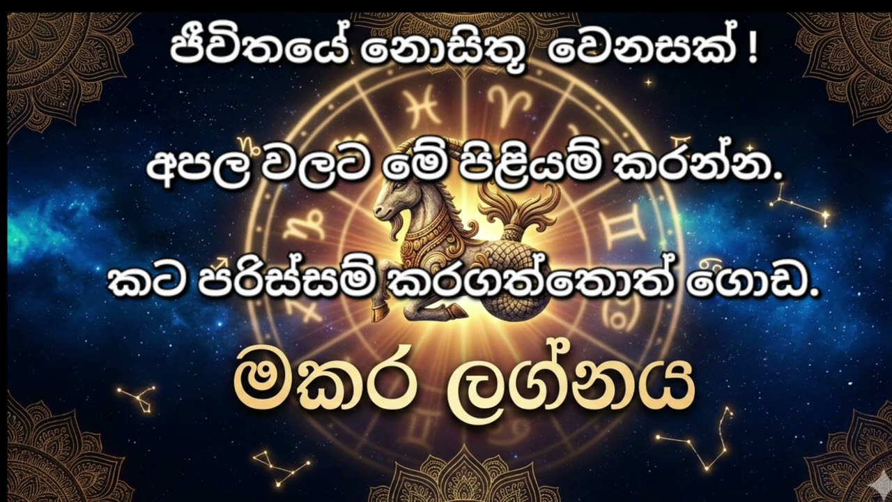 මකර ලග්නය හිමියනි මේ හොඳම කාලයයි. දැන් නැගිටින්න.