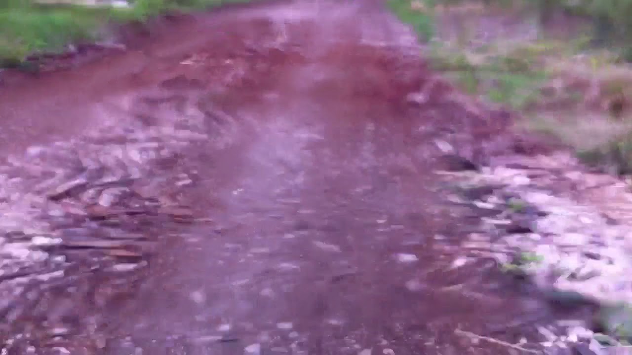 Tour dans la for&ecirc;t qui tourne mal(#2)