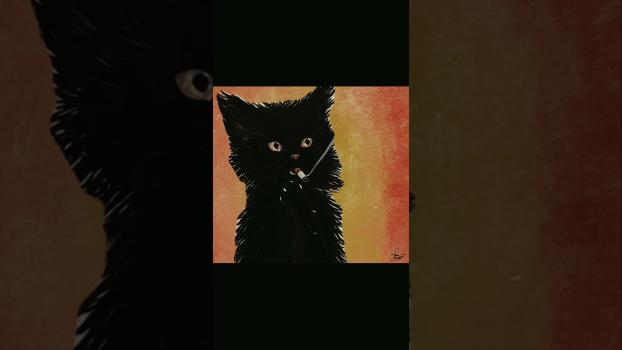 //Calle19//_Cool _era Cat  _Yesk@ +Ferchito #viralvideo #coolcat #suscribe