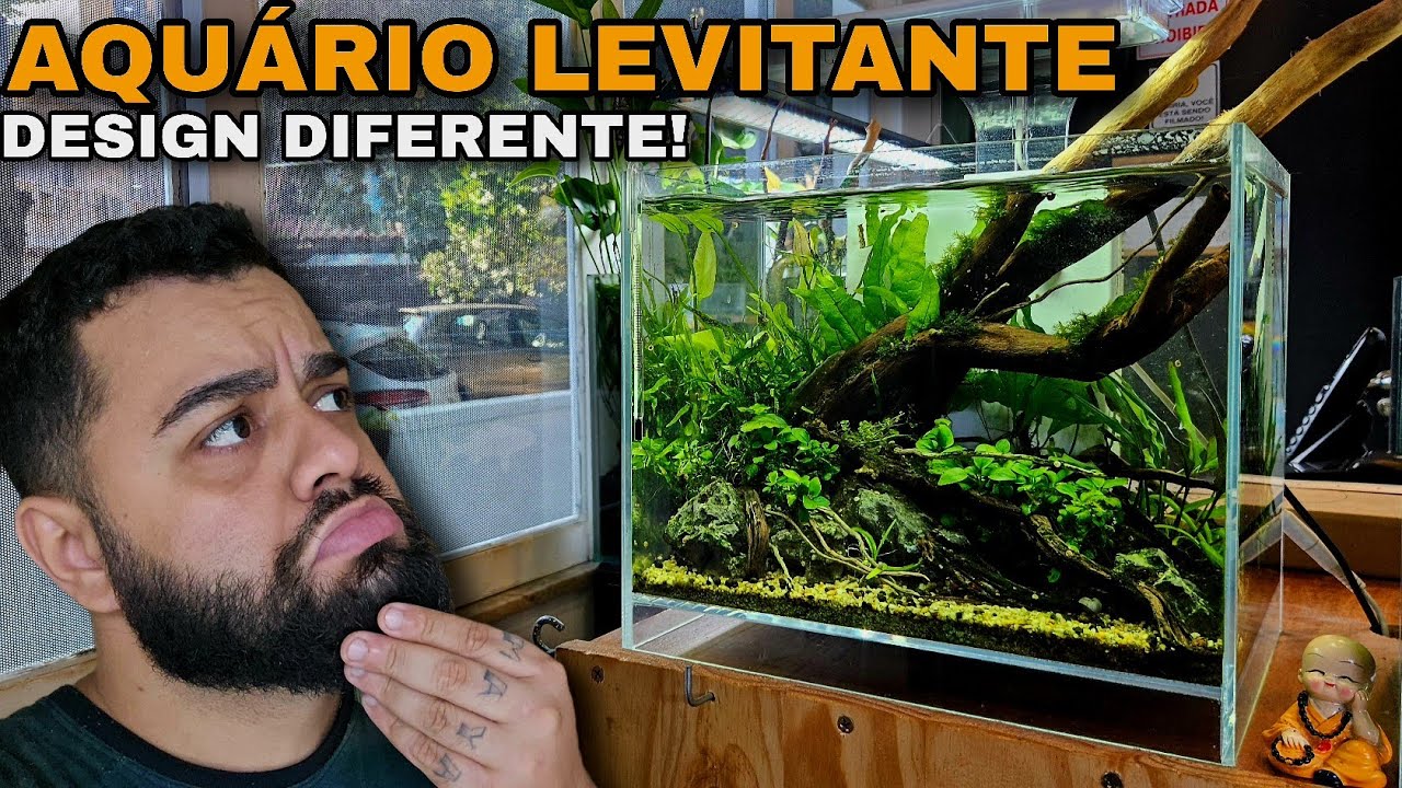 AQUÁRIOS LEVITANTES: JÁ CONHECIA ESSE TIPO DE AQUÁRIO?