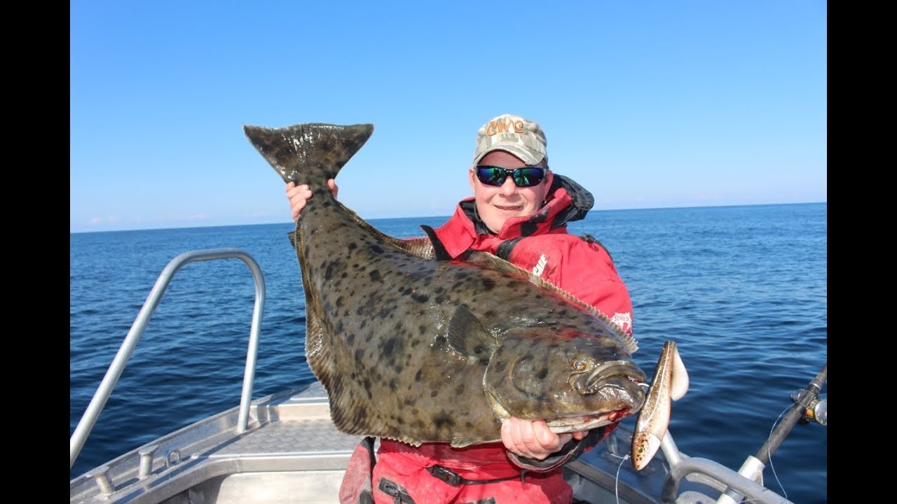 Halibutfishing Havøysund