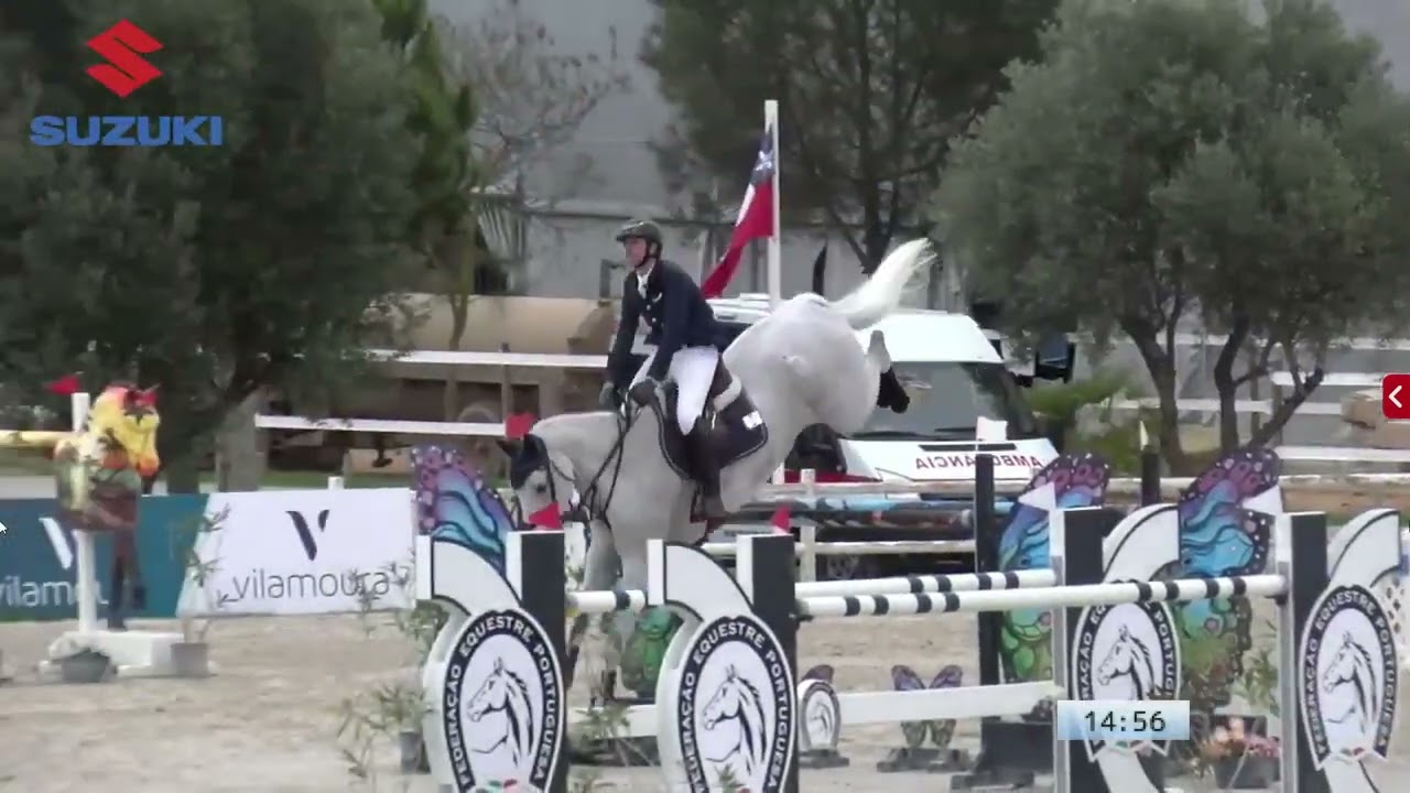 Young Horse Vilamoura Championship - Mathieu Billot & Quel Filou 13 (Quidam`s Rubin x Cascavelle)