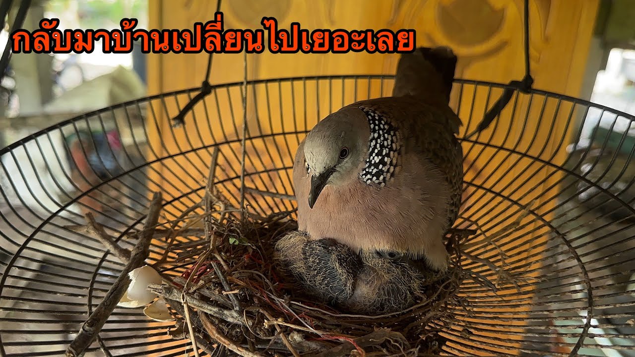 กลับมาบ้านเปลี่ยนไปเยอะ