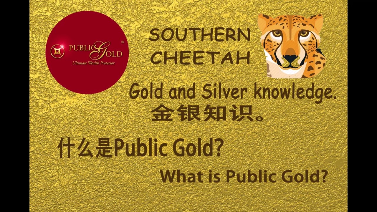 什么是 Public Gold？