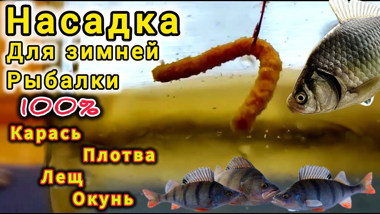 Этой НАСАДКОЙ Легко Поймать!ЗИМНЯЯ НАСАДКА на Карася,Леща,Плотвы и Окуня.