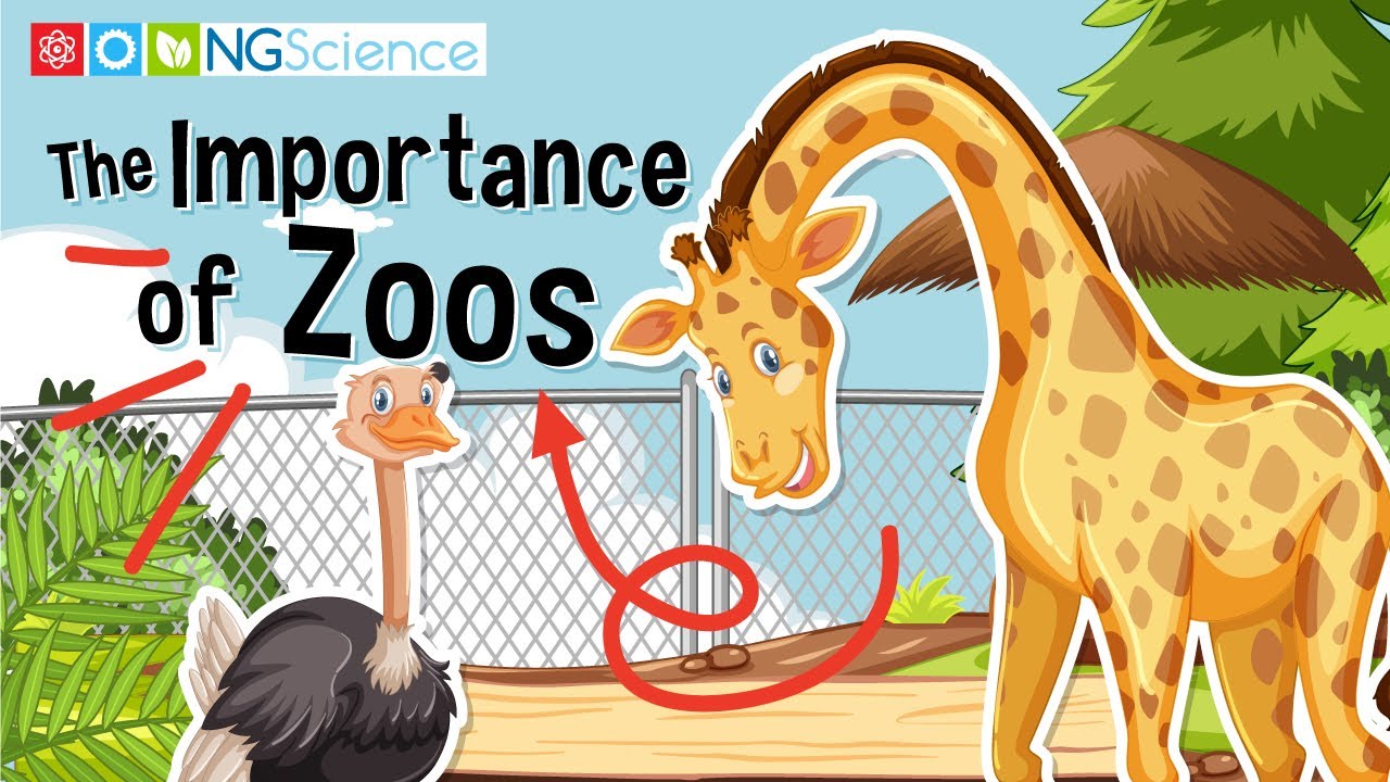 The Importance of Zoos