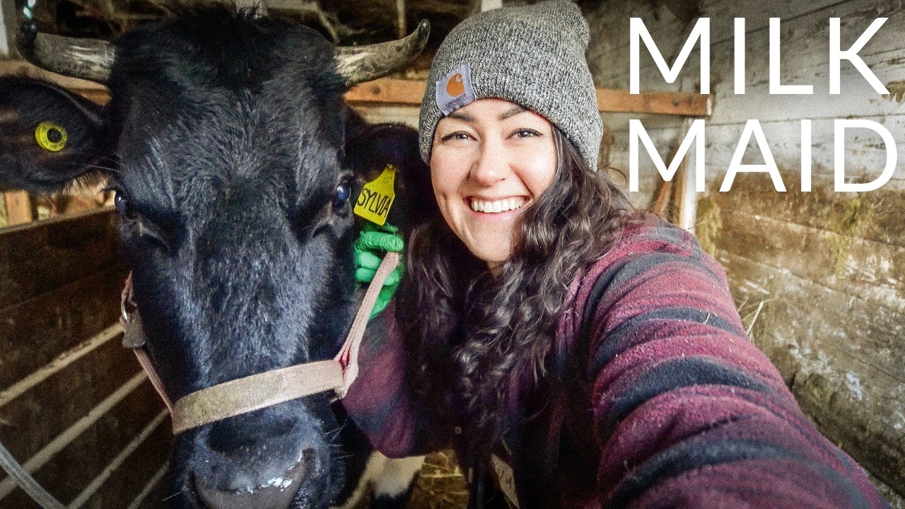 the one where I milk cows 🐮 MEET THE GIRLIE MOOS! | Ep 42