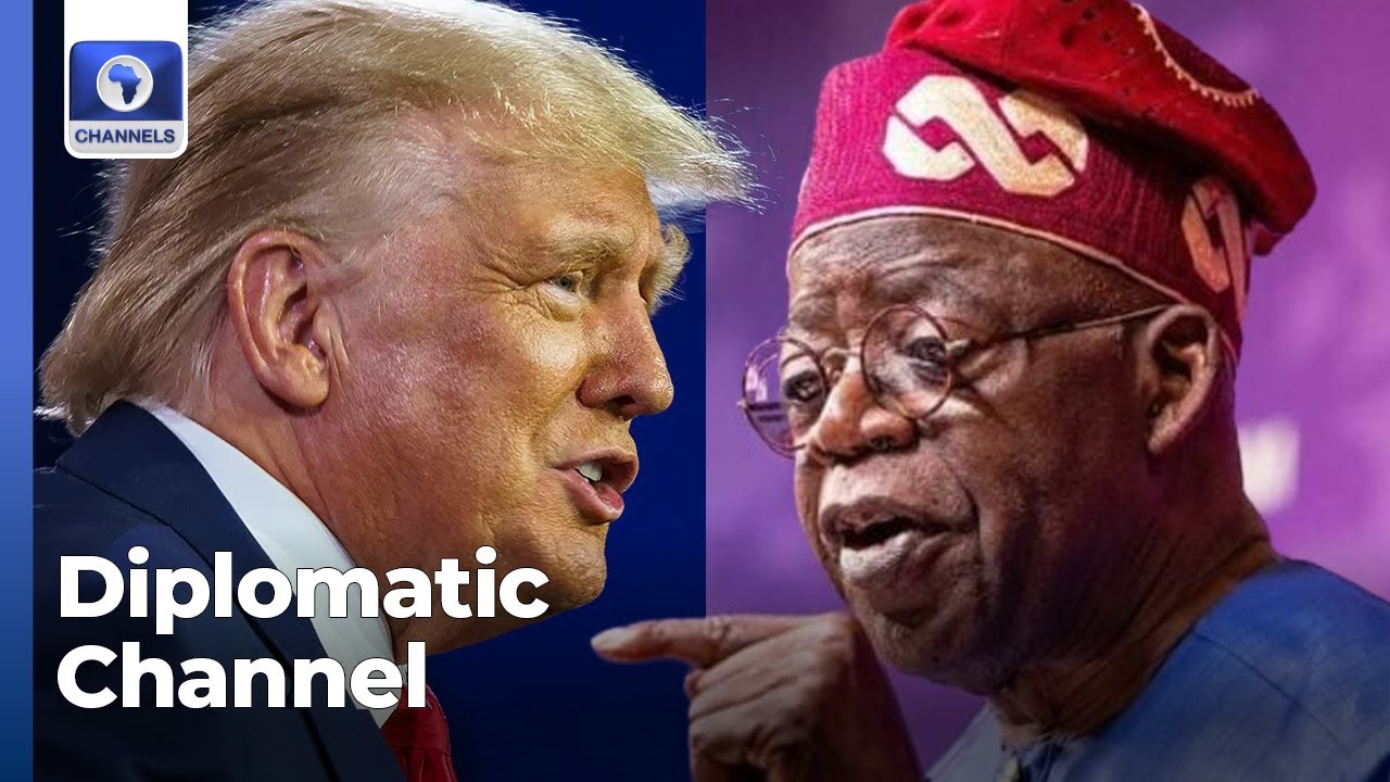 Trump: Tougher Sanctions On Nigeria Difficult To Understand, We need To Engage - Amb Joe Keshi
