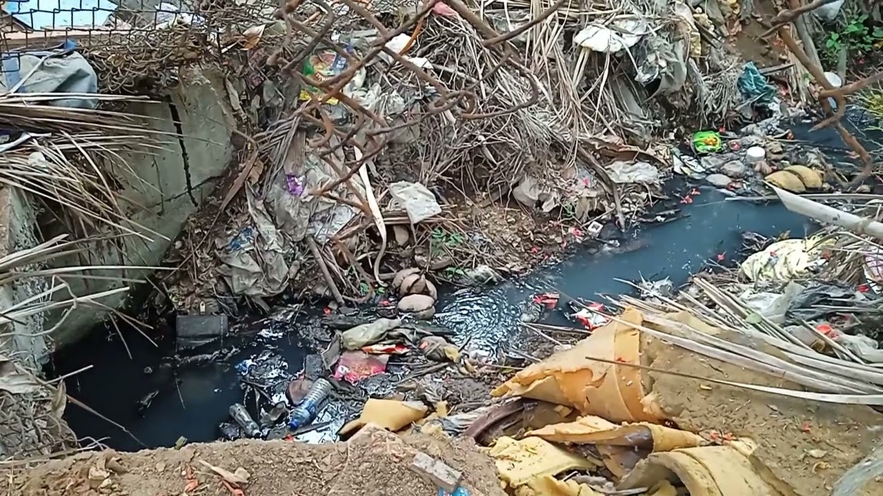 grey water flowing directly into the mangorves at 7 bungalows