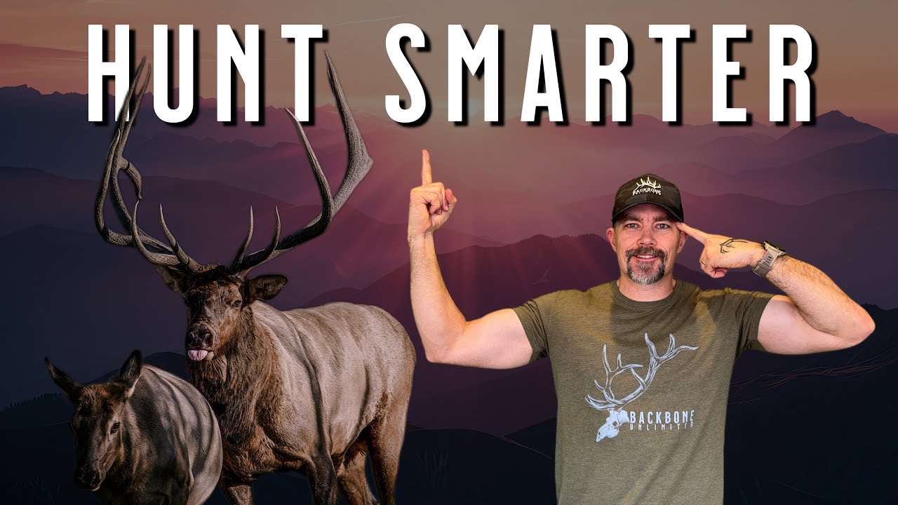 Why “Just Hunt Harder” is Bad Elk Hunting Advice