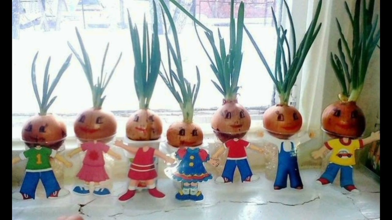 Консультація для батьків.                 Город на підвіконні.Молодша група.