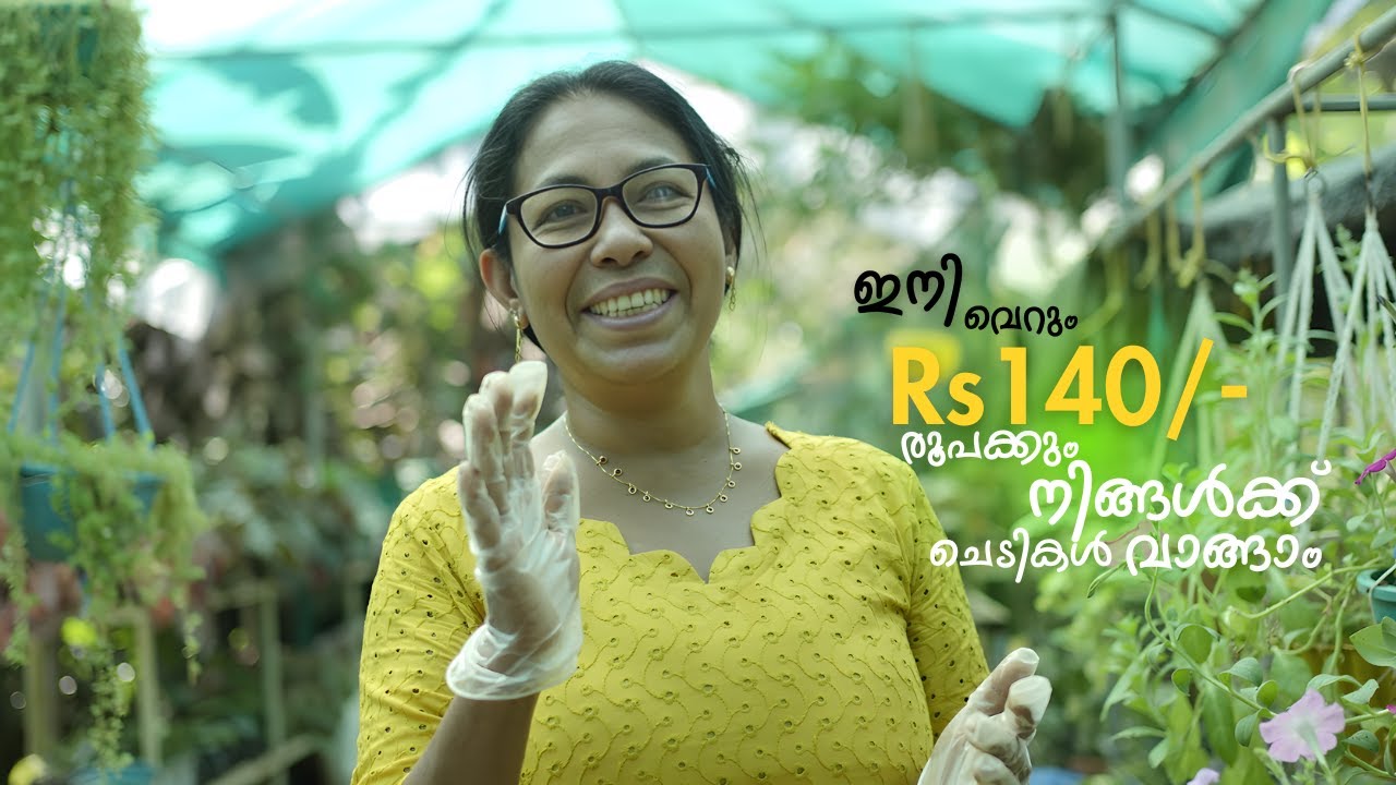 ഇനി വെറും 140 രൂപക്കും നിങ്ങൾക്ക് ചെടികൾ വാങ്ങാം