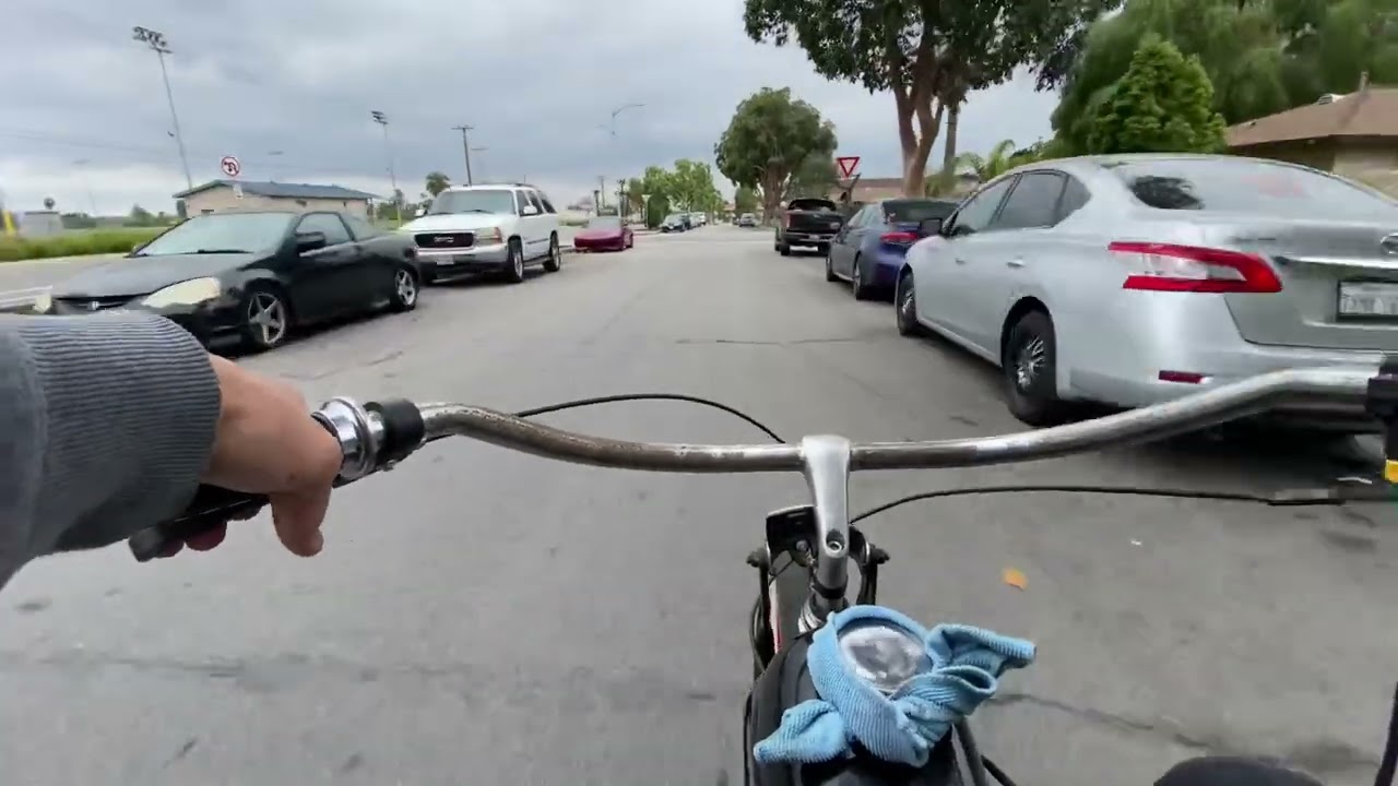 80cc Motorized Bike Cruise