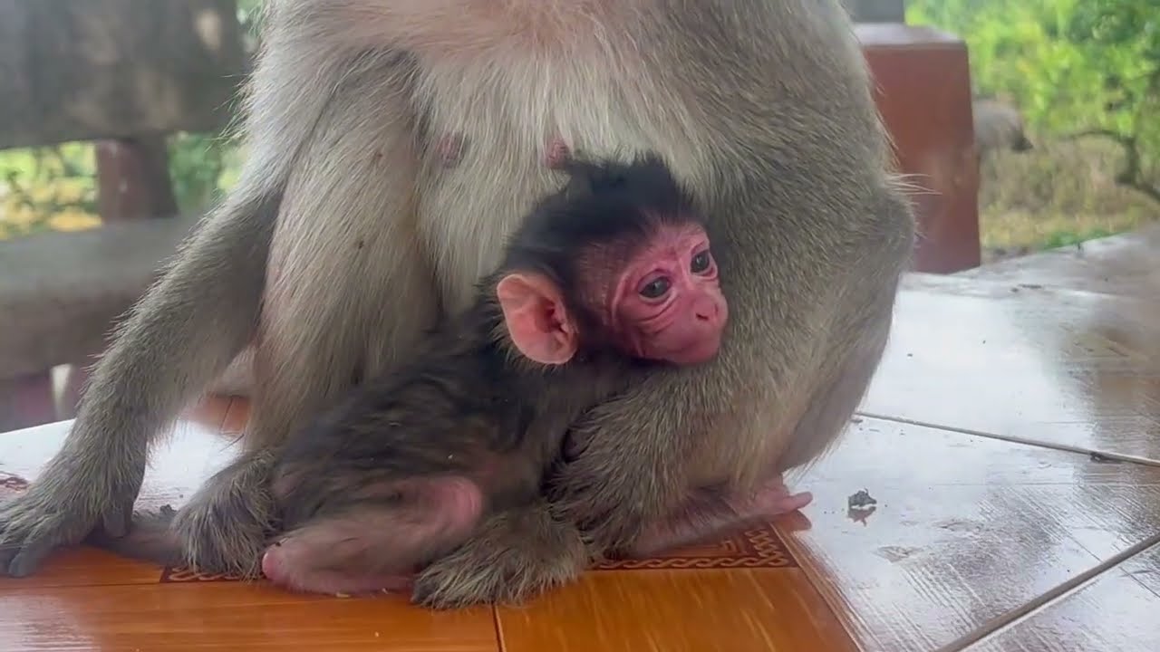 Welcome to newborn baby, Lovely newborn baby