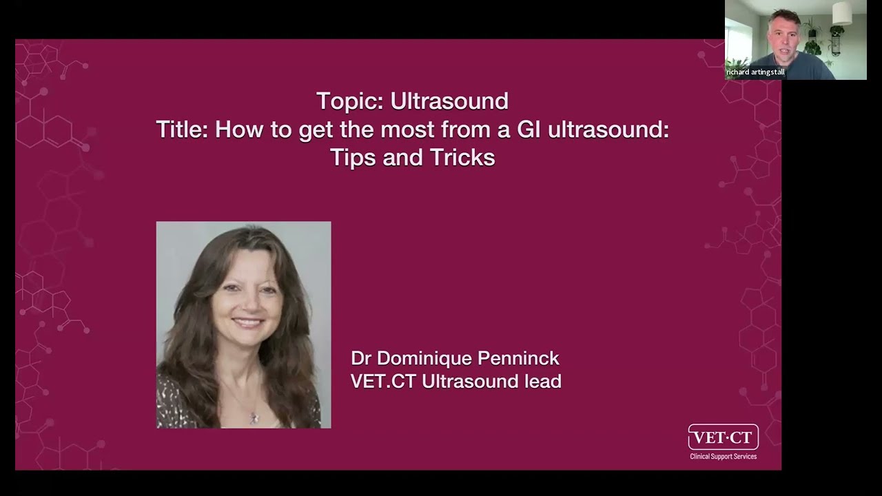 VET.CT Specialist Webinar - How to Get the Most from a GI Ultrasound: Tips and Tricks