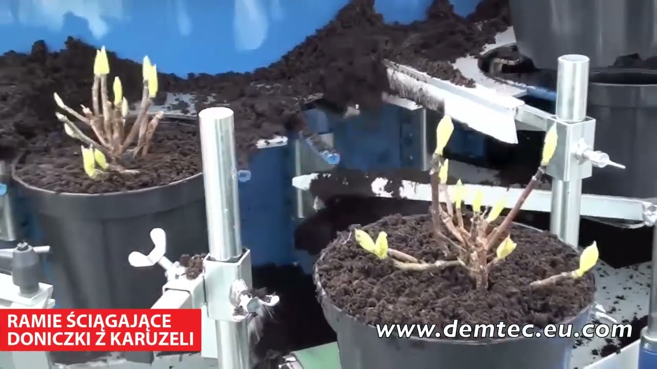 MASZYNOWE PIĄTKI - doniczkarka Demtec Evo²