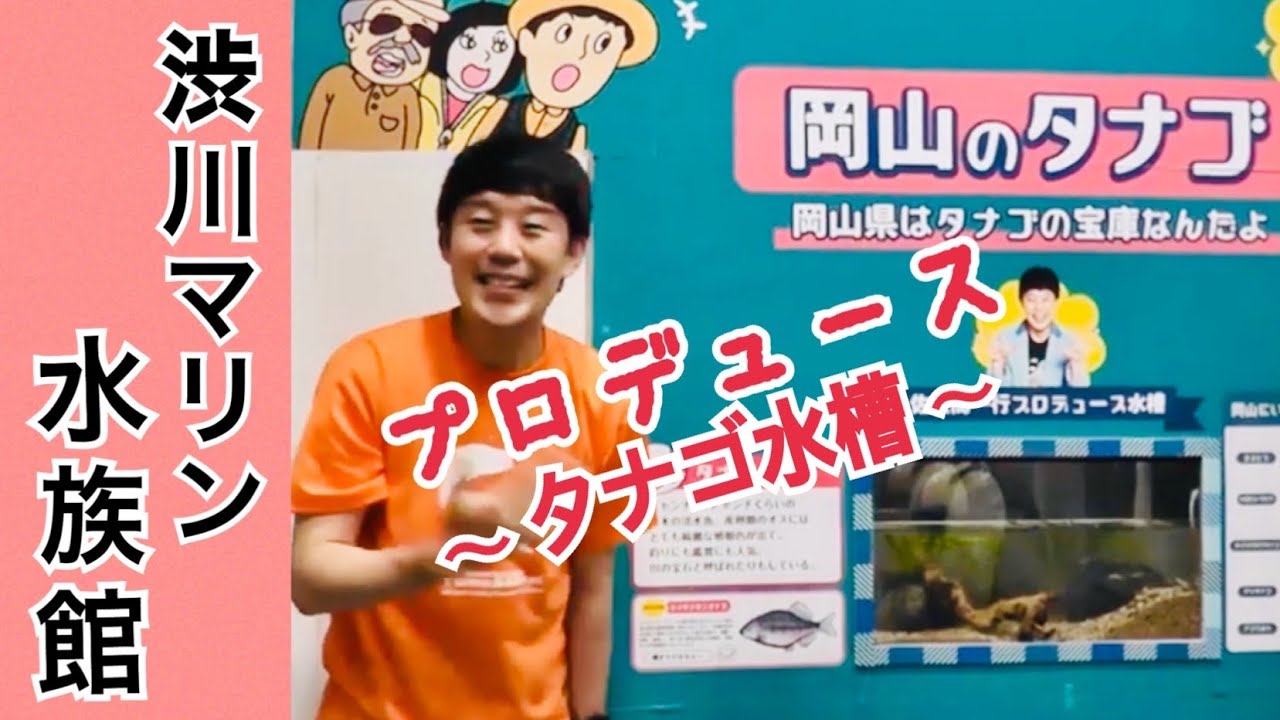 【渋川マリン水族館2】タナゴ水槽プロデュースしました！