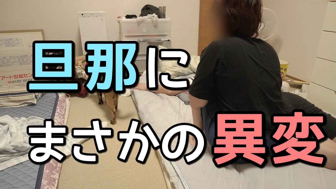 旦那の元気がないので、空気を読むズボラ主婦と猫の最善に動く休日。