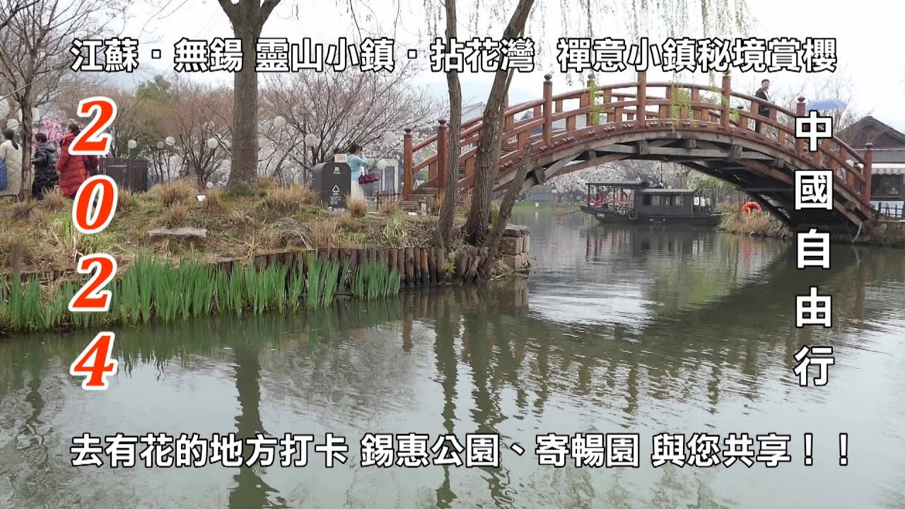 2024 江蘇‧無鍚 靈山小鎮•拈花灣 禪意小鎮秘境賞櫻、錫惠公園、寄暢園 中國自由行 去有花的地方打卡 與您共享！！