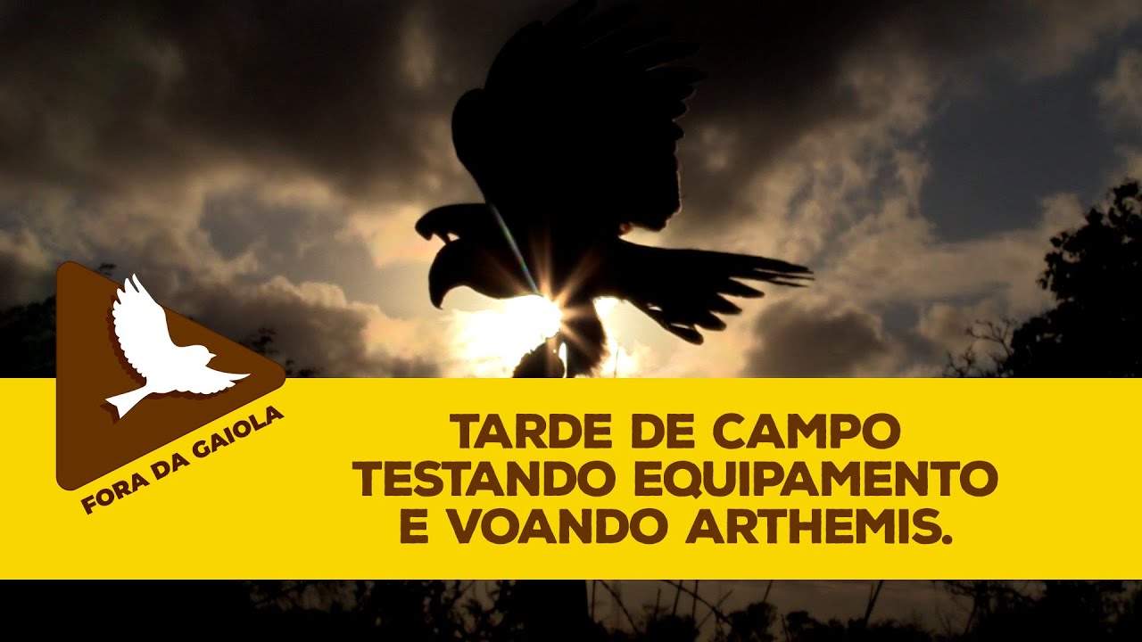Tarde de Campo Testando Equipamento e Voando Arthemis.