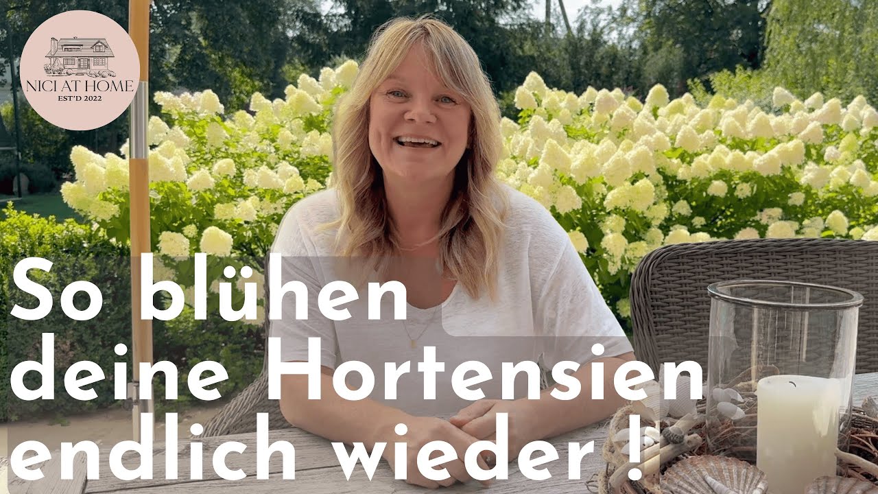 So bekommst du traumhafte Hortensienblüten – Fehler vermeiden & richtig pflegen