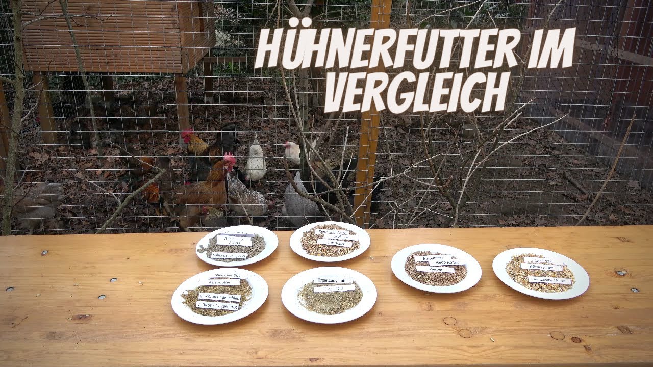 H&uuml;hner Tipp 6 - H&uuml;hnerfutter im Vergleich - K&ouml;rnerfutter, Legemehl, Alleinfutter