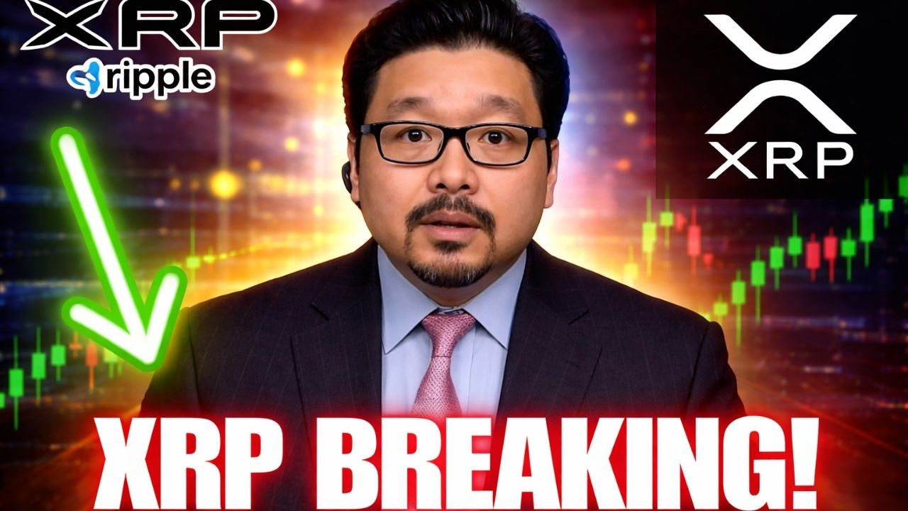 🚨 Срочная новость: Только что поступили новости о Ripple XRP!