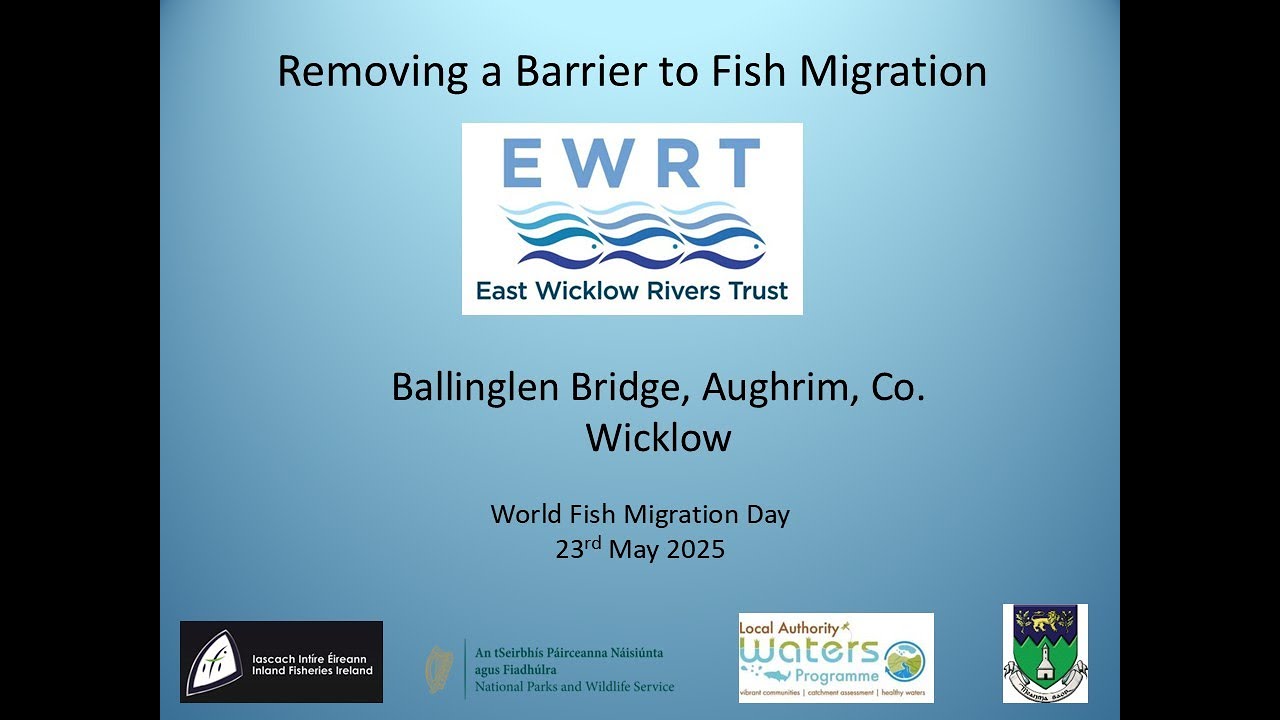 EWRT - Removing a Barrier to Fish Migration - Webinar on World Fish Migration Day 2025