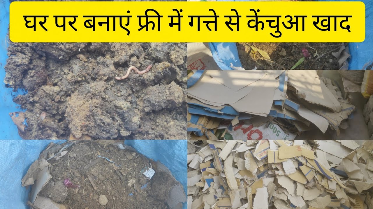 गत्ते और कागज से घर पर फ्री में केचुआ खाद बनाने का बेहतरीन तरीका #homemade vermicompost #kumudvlogs 