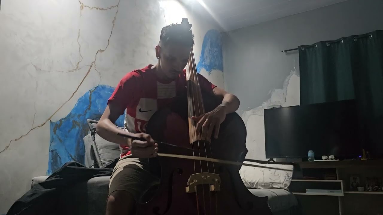 Stive Lima  Concerto in D Major   Dittersdorf