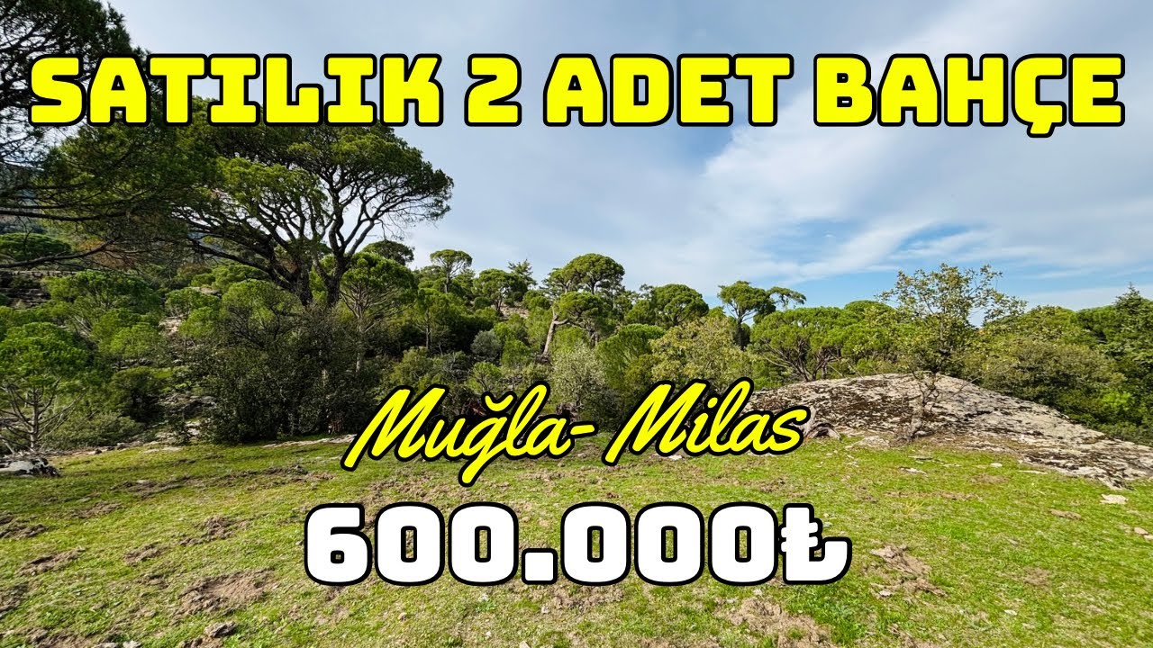 Muğla Milas’ta Satılık 2 Adet Bahçe 600.000₺-A556 