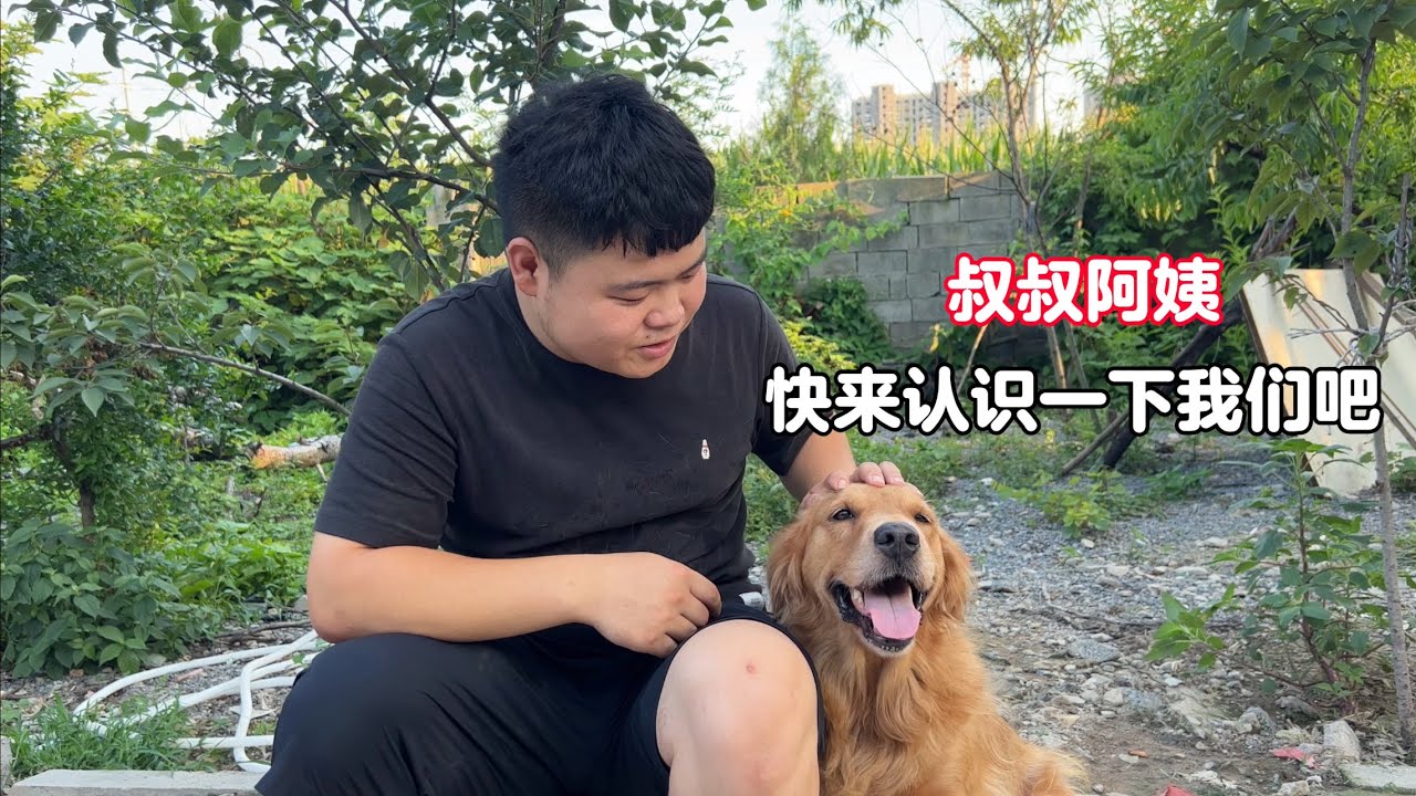 小院狗狗太多分不清，50多只毛孩子集體亮相，講述它們悲慘的過往