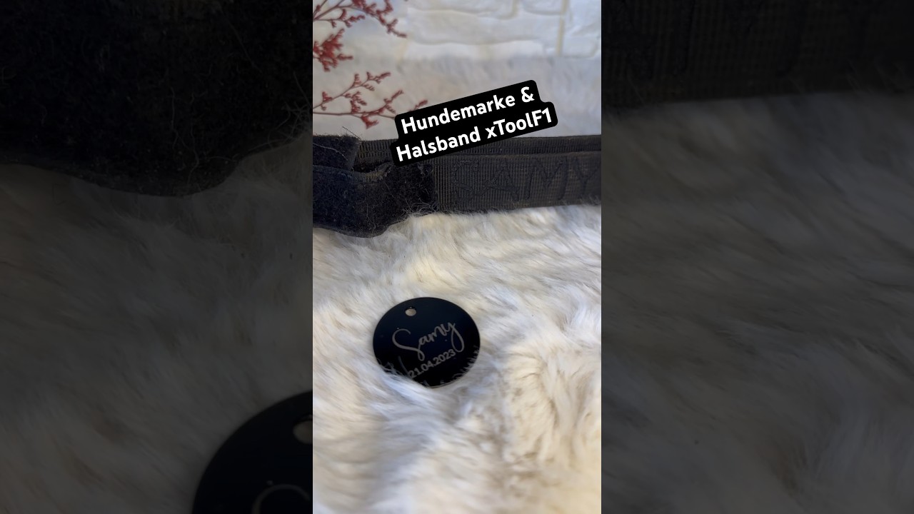 Hundemarke & Halsband Gravur xToolF1, #pinselara