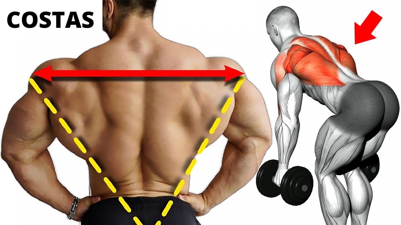 7 melhores exercícios para as costas para construir costas mais largas e mais fortes