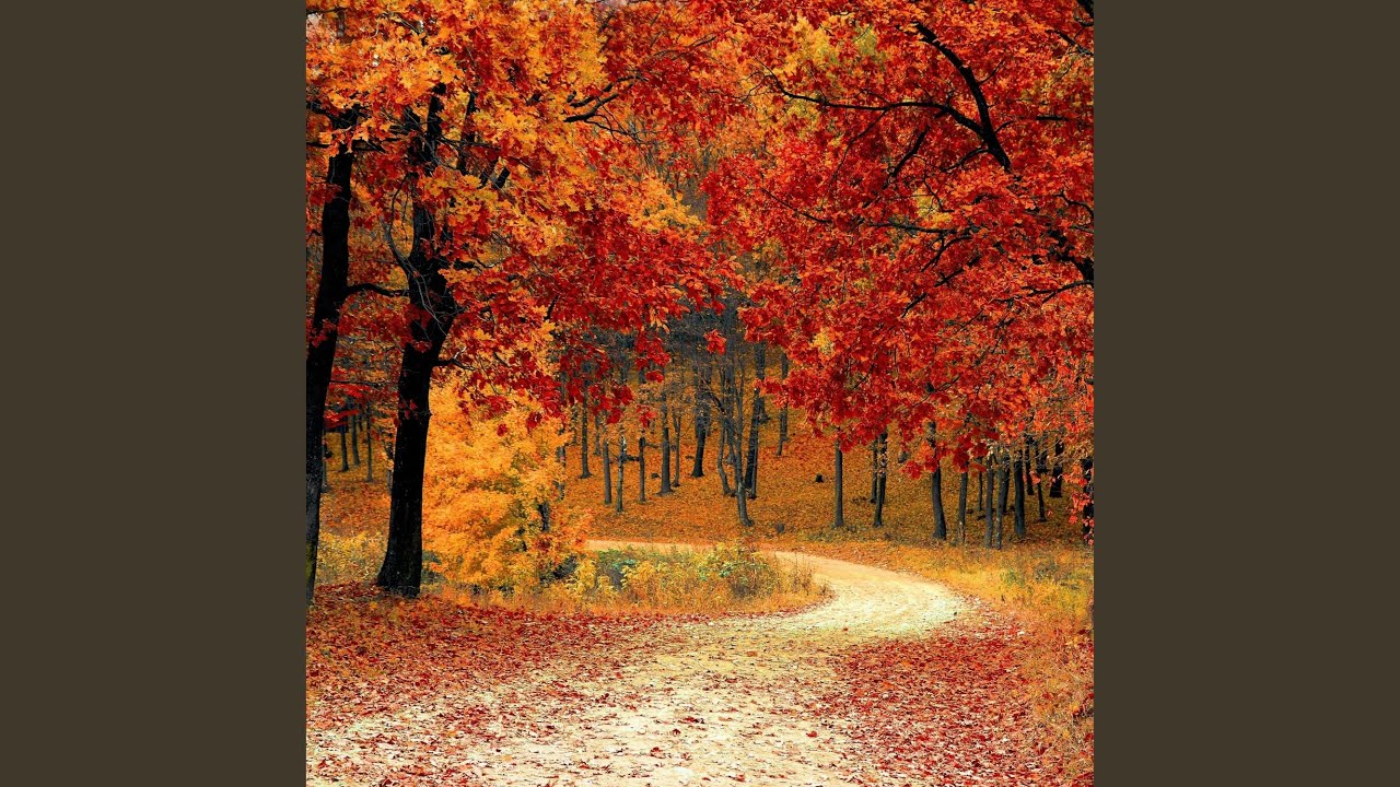 Autumn Foliage
