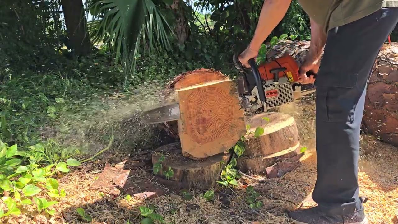 STIHL MS 440/460 ported 20