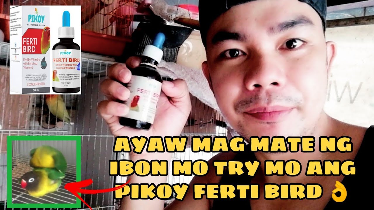 HOW TO USE FERTI BIRD FROM PIKOY VITAMINS EASY TO USE#FERTIBIRD #ALBS2 #personata #ibon #GREENeuwing