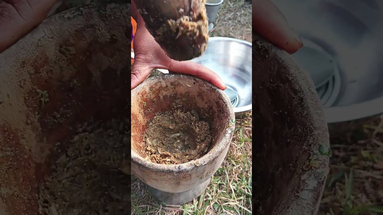 satne bonai ase ❤️🥰👍🫣