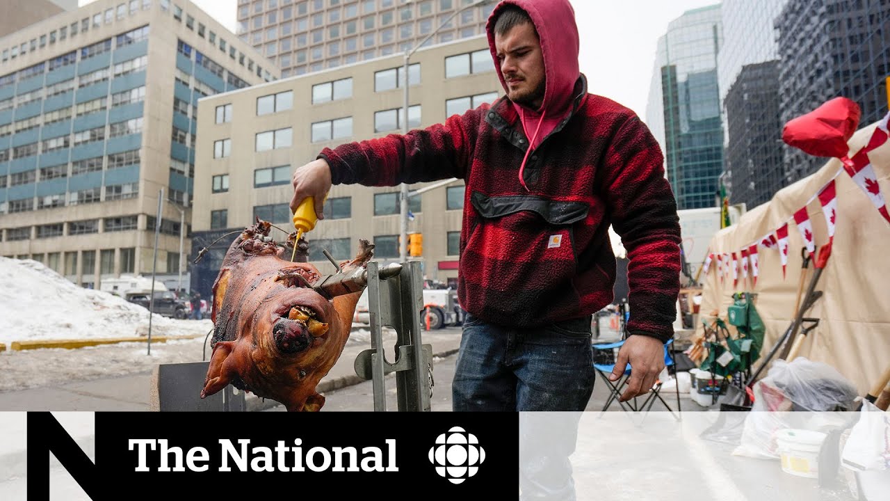 Protesters in Ottawa supported by organized operation