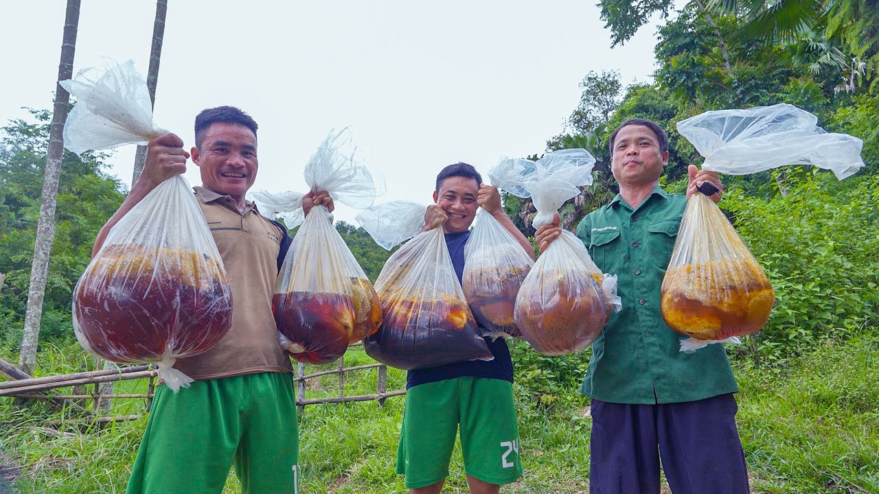 Bội Thu Trở Về - 108kg Mật Ong Sau 2 Ng&agrave;y Nằm Rừng Săn Ong