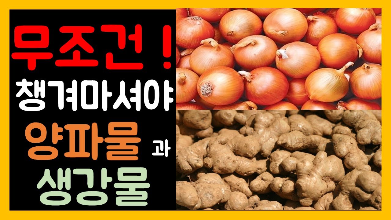 양파껍질과 생강 달인물로 고지혈, 고혈압, 감기 다 잡자! 생강심는시기와방법, 생강심는시기, 생강심는방법,