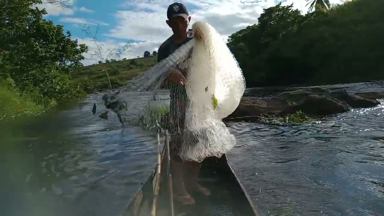 Hoje eu extreei uma tarrafa nova deu bom #pesca artesanal #natureza #humor