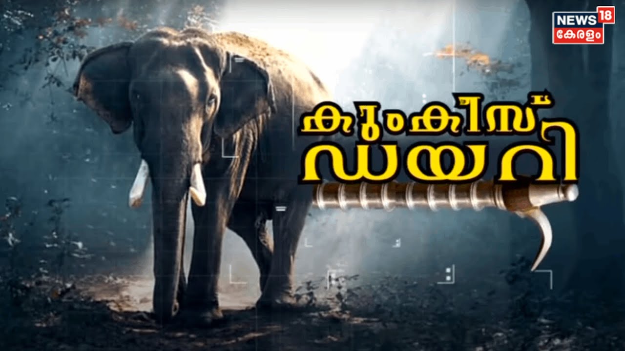 Muthanga Wildlife Sanctuary | കുംകീസ് ഡയറി | ക്യാമ്പിലെ 11 ആനകളുടെ വിശേഷമറിയാം | Wild Elephant