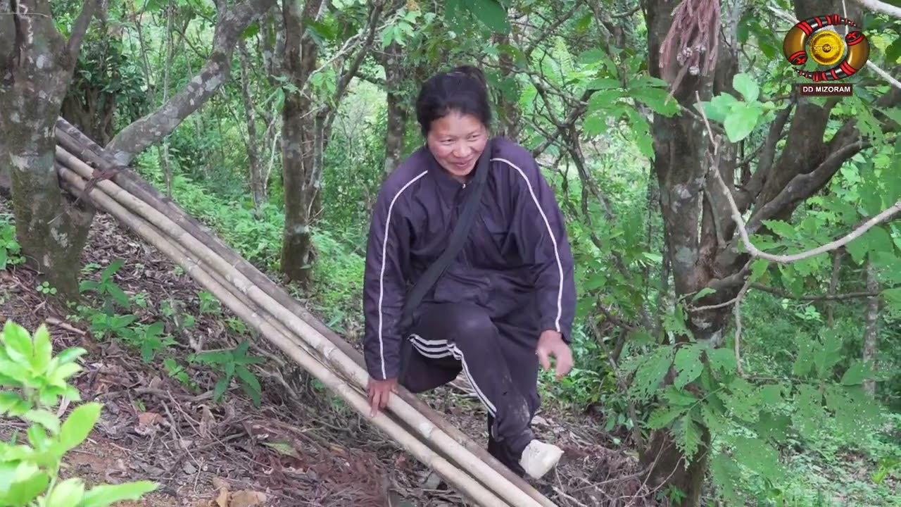 Agriculture Prog | Sialsuk khuaa Thingthupui chingtute kawmna