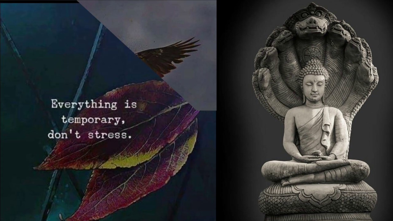 14 Of The Best Calming Quotes On Stress For Stressful Days
