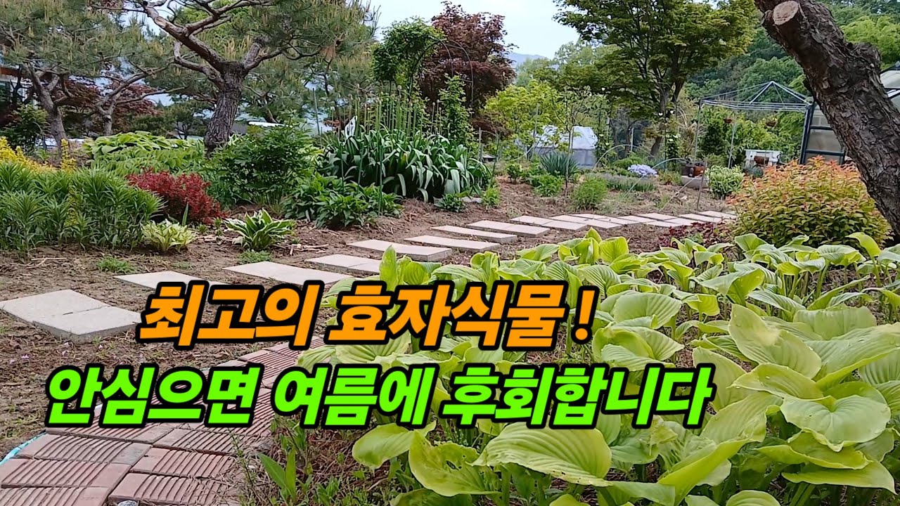 잡초뽑고 물주는 정원 중노동 이제는 끝내세요