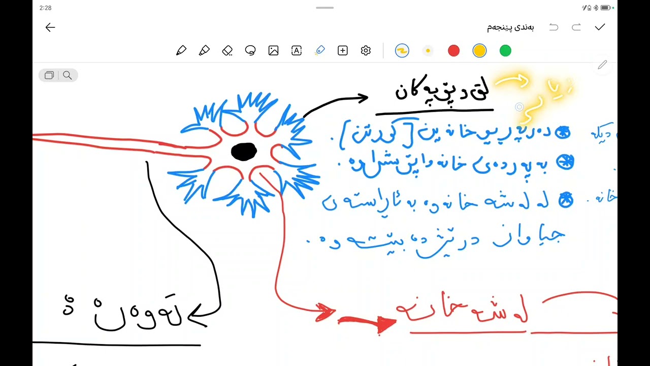 مامۆستا ئەمجەد طه بابەتی پۆلی 12 بەندی 4 کەرتی یەکەم بەشی یەکەم