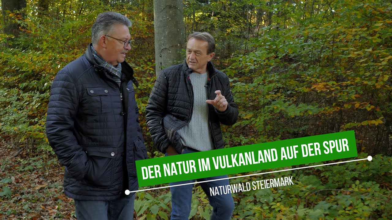 Klimafitter Wald | Naturwald Steiermark in Riegersburg